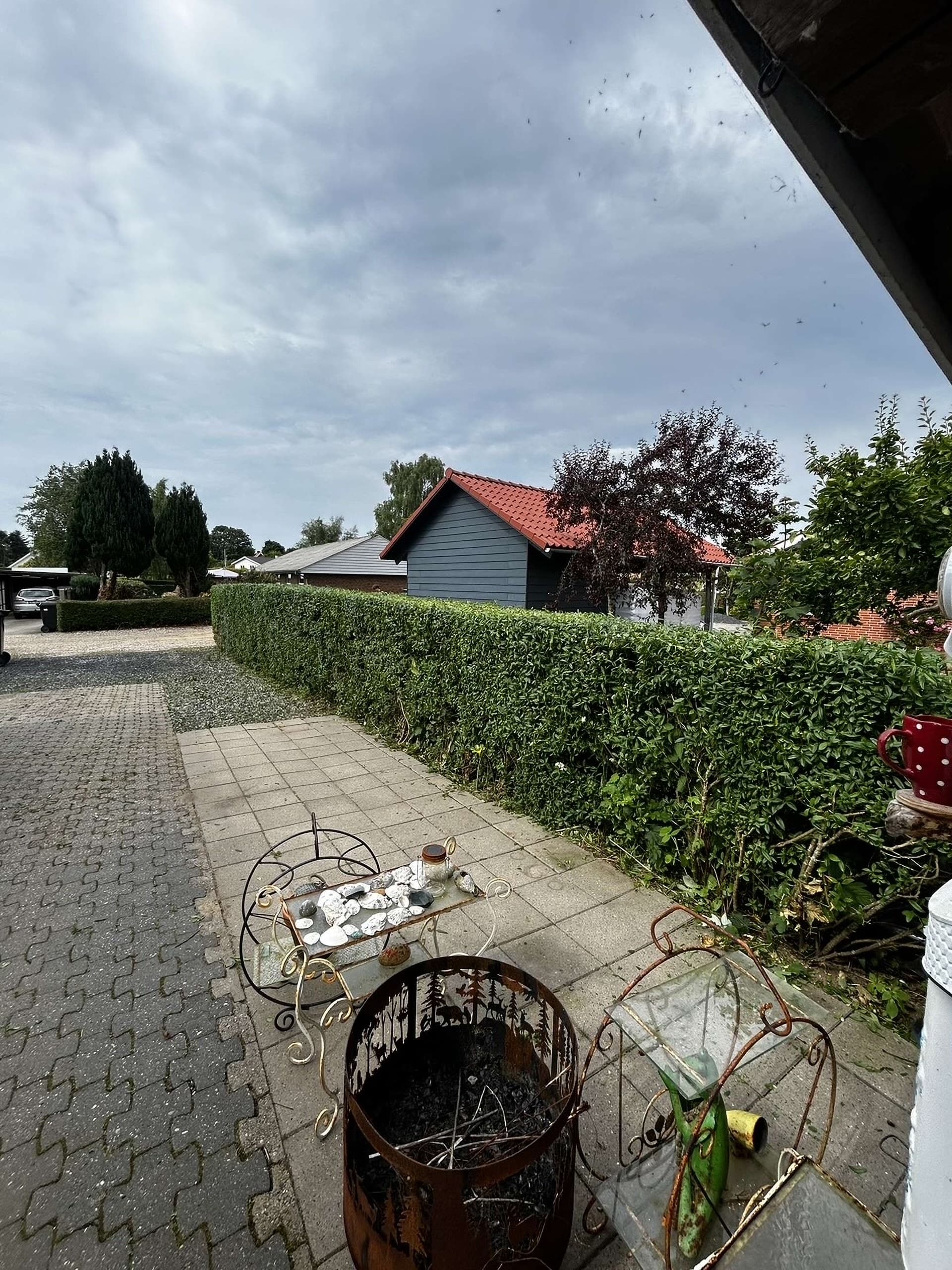 Have med terrasse før arbejdet