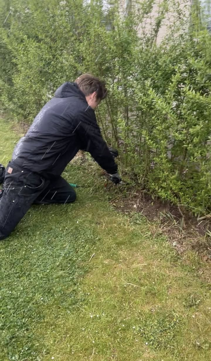 Detaljen i bunden